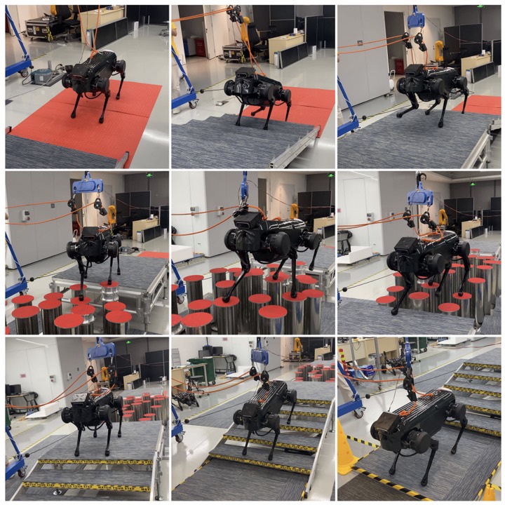 Locomotion Generation for Quadruped Robots